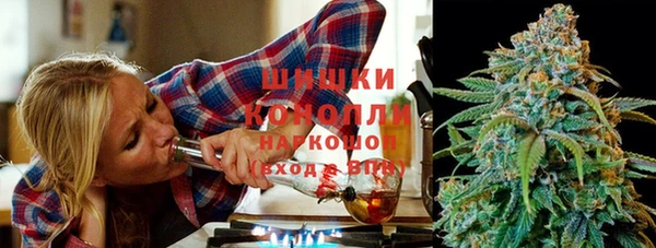 молекула духа Няндома